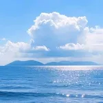 Álvaro Solís avatar